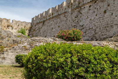 Along the ditch of the antique city wall in the old town of rhodes city at greek island rhodes