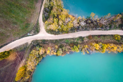 Scenic view of lake by trees