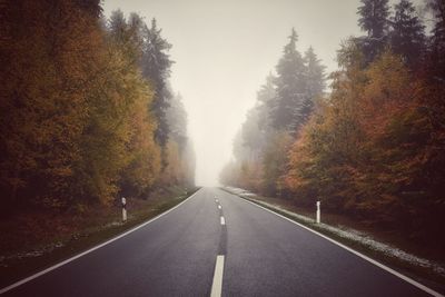 Empty road along trees during autumn