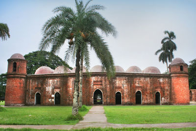 View of palm trees in front of building