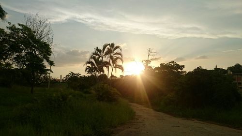 Scenic view of landscape against sky during sunset