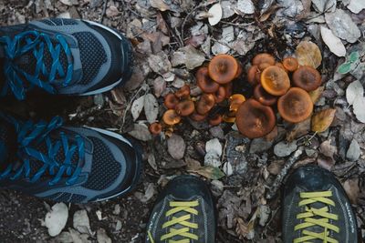 High angle view of shoes on ground