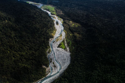 Aerial view of river amidst trees