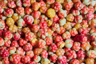 Full frame shot of red fruits