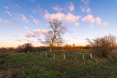 Scenic view of field against sky during sunset