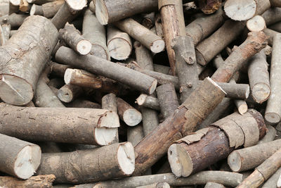 Full frame shot of logs in forest