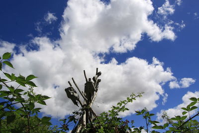 Low angle view of flowering plants against cloudy sky