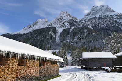 Snow covered trees and buildings against sky