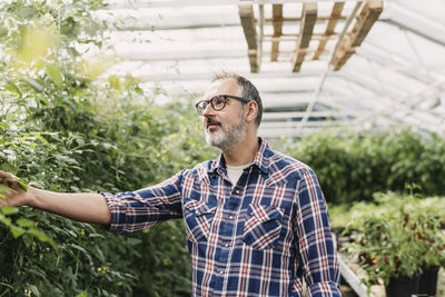 Mature gardener day dreaming while standing by plants in greenhouse