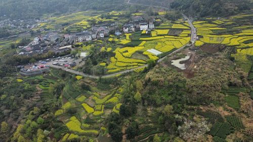 High angle view of townscape