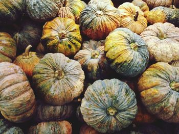 Full frame shot of pumpkins at market