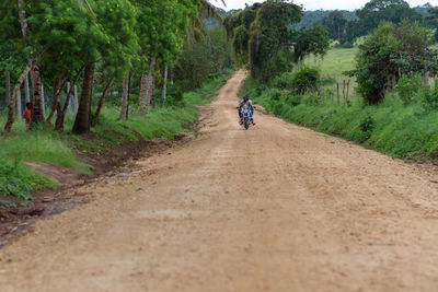 Rear view of man riding bicycle on dirt road