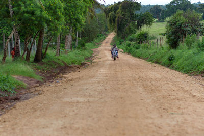 Man riding bicycle on dirt road