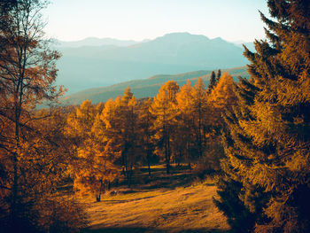 Scenic view of mountains during autumn