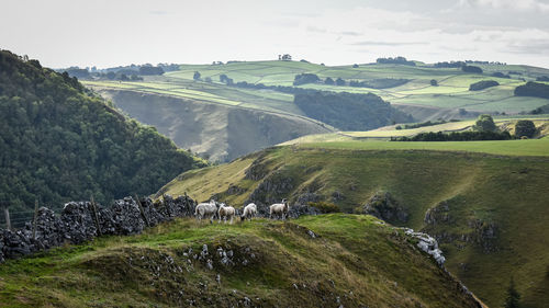 High angle view of landscape against sky
