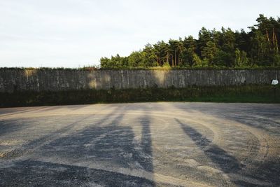 Trees in field