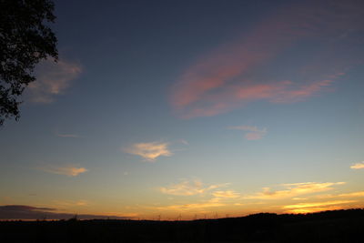 Low angle view of silhouette trees against sky at sunset