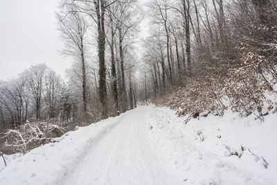 Snow covered road amidst trees during winter