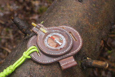 High angle view of toy on rock