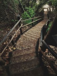 High angle view of railroad track amidst trees