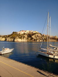 Sailboats moored in harbor