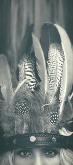 High angle view of plants on glass table