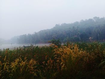 View of lake in foggy weather