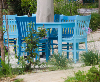 Empty chairs by plants in yard