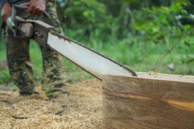 Low section of person standing on wood