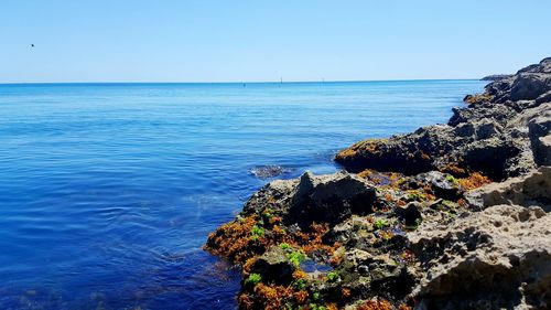 Scenic view of sea against clear blue sky