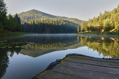 Scenic view of lake by trees against sky