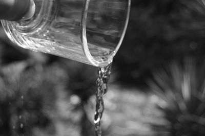 Close-up of water drop