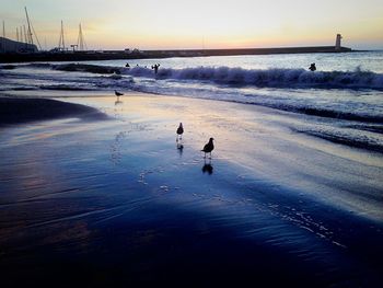 People on beach against sky during sunset