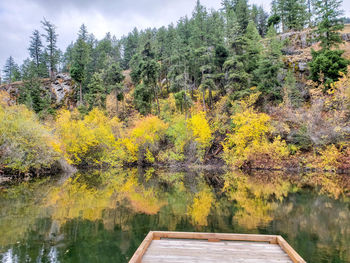 Scenic view of lake amidst trees in forest during autumn