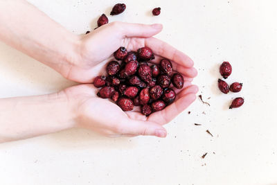 High angle view of hand holding berries