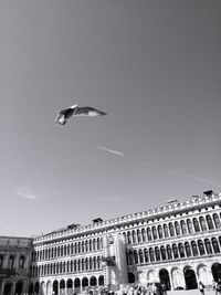 Low angle view of seagull flying