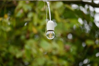 Close-up of light bulb