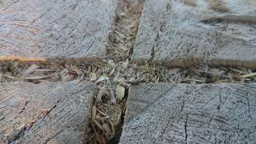 Close-up view of stone wall