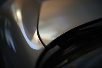 Close up of plant against blurred background