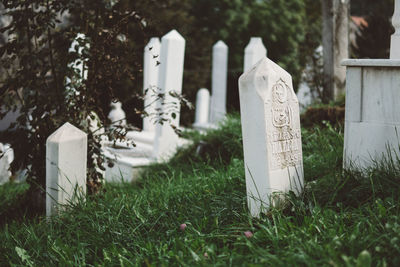 Close-up of cemetery on field