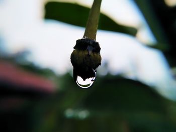 Close-up of water