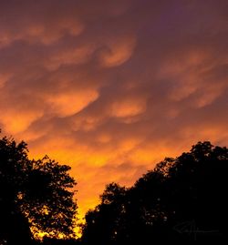 Low angle view of silhouette trees against orange sky