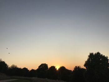 Silhouette trees against clear sky during sunset