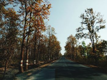 Road amidst trees in forest against clear sky