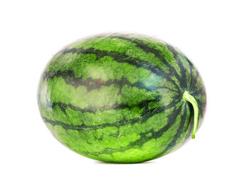 Close-up of green fruit against white background