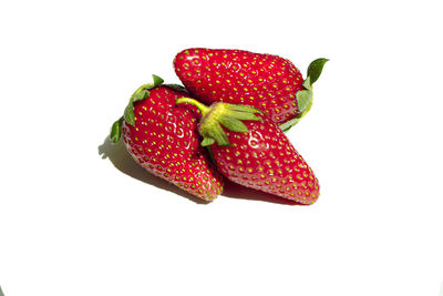 High angle view of strawberries