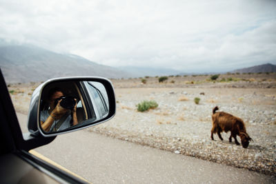 Reflection of woman photographing on car side-view mirror by field