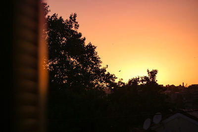 Silhouette tree against orange sky