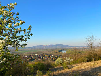 Scenic view of field against clear blue sky