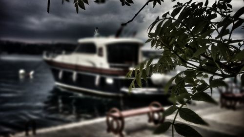 Close-up of boat moored by trees against sky